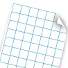 Bond Cuadriculado Cuadro Chico 5 mm, 57 x 87 cm. 70 g.
    SIN MARCA


            SKU
        024901

    
        
           