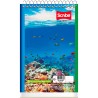 Libreta Apuntes Scribe Mega 4580 Raya 7.6 x 12.7 cm 40 h.
    SCRIBE


            SKU
        076708

    
        
           