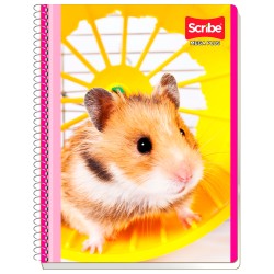 Cuaderno Profesional Scribe Mega Plus 7512 Cuadro Chico 100 h.
    SCRIBE


            SKU
        193441

    
        
      